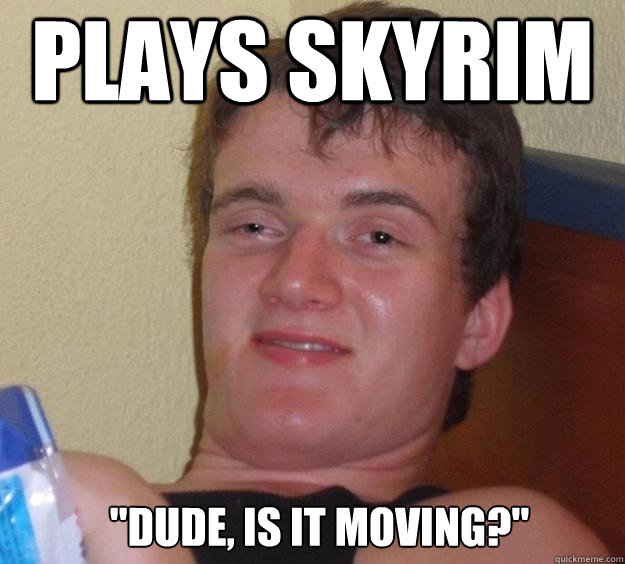 Plays skyrim 