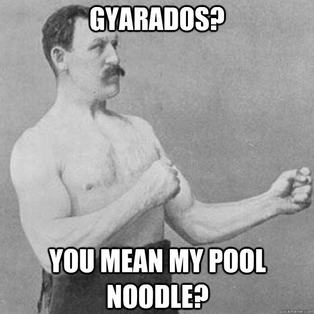 Gyarados? You mean my pool noodle?   overly manly man