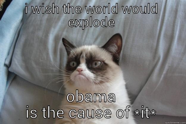 I WISH THE WORLD WOULD EXPLODE OBAMA IS THE CAUSE OF *IT* Grumpy Cat