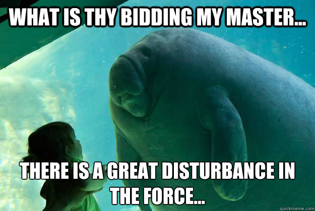 What is thy bidding my master... There is a great disturbance in the force...  Overlord Manatee