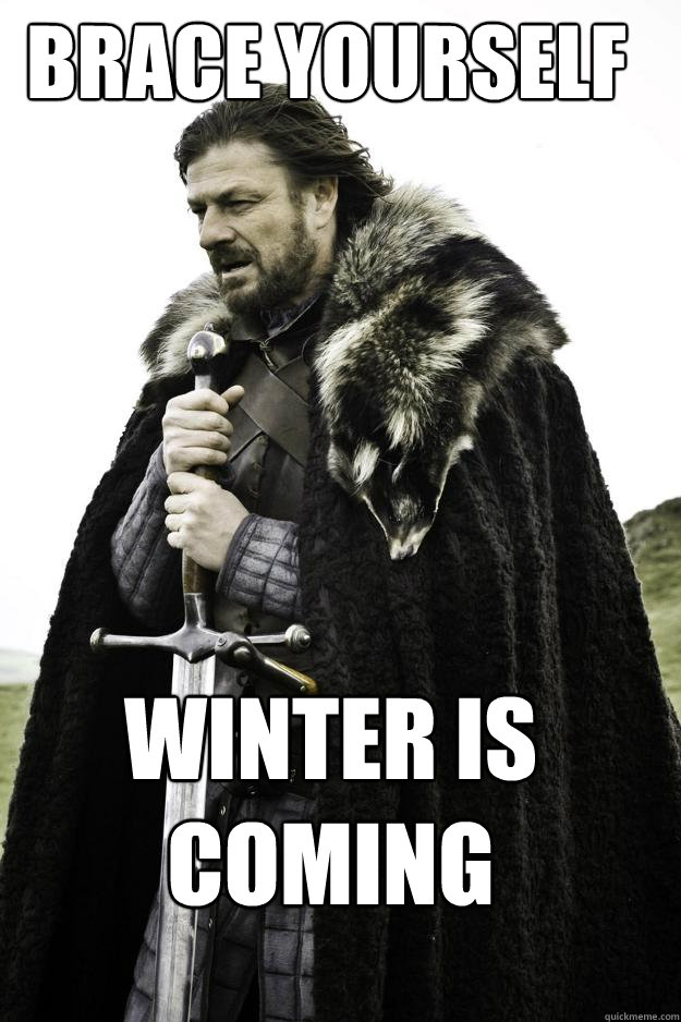 Brace Yourself Winter is coming  Winter is coming