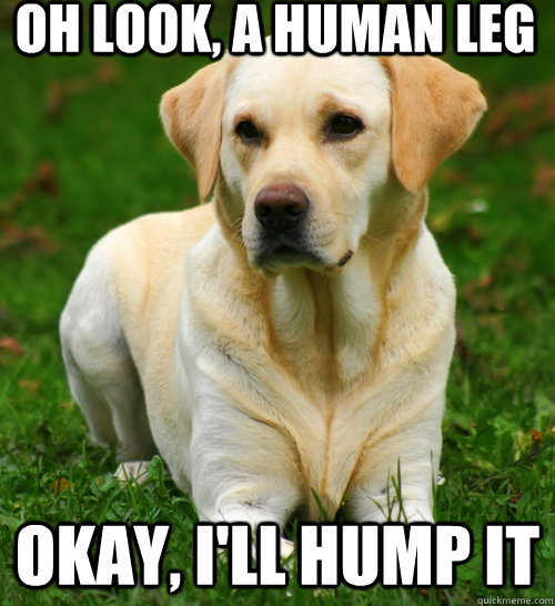 Oh look, a human leg okay, i'll hump it  Dog Logic