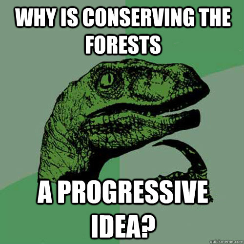 Why is conserving the forests A progressive idea?  Philosoraptor