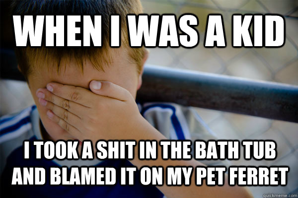 WHEN I WAS A KID I took a shit in the bath tub and blamed it on my pet ferret  Confession kid