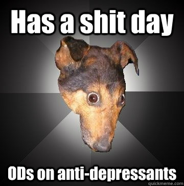 Has a shit day ODs on anti-depressants  Depression Dog