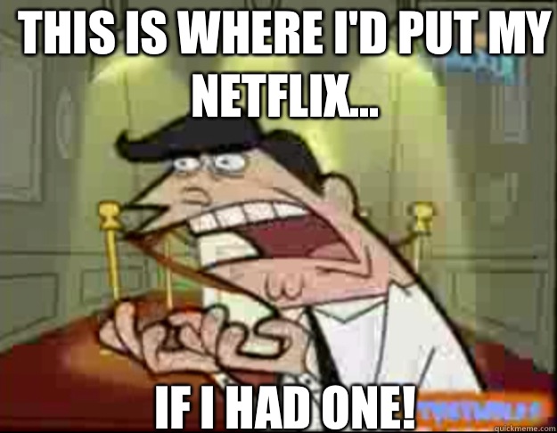 THIS IS WHERE I'D PUT MY NETFLIX... IF I HAD ONE!  Fairly Odd Parents