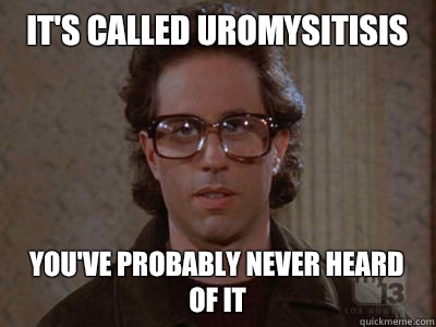 It's called uromysitisis You've probably never heard of it  Hipster Seinfeld