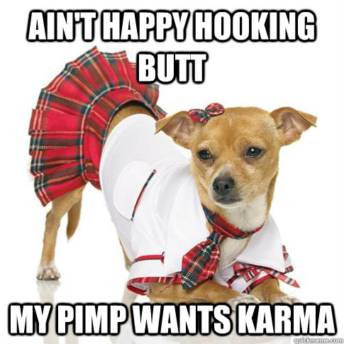 Ain't happy hooking butt My pimp wants karma  sad hooker dog