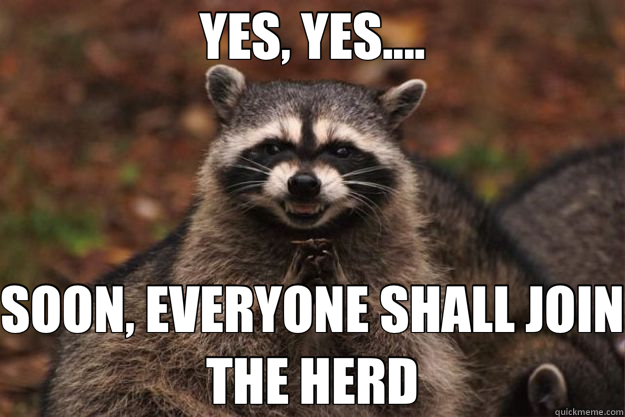 YES, YES.... SOON, EVERYONE SHALL JOIN THE HERD  Evil Plotting Raccoon