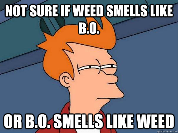 Not sure if weed smells like b.o. or b.o. smells like weed - Not sure if weed smells like b.o. or b.o. smells like weed  Futurama Fry