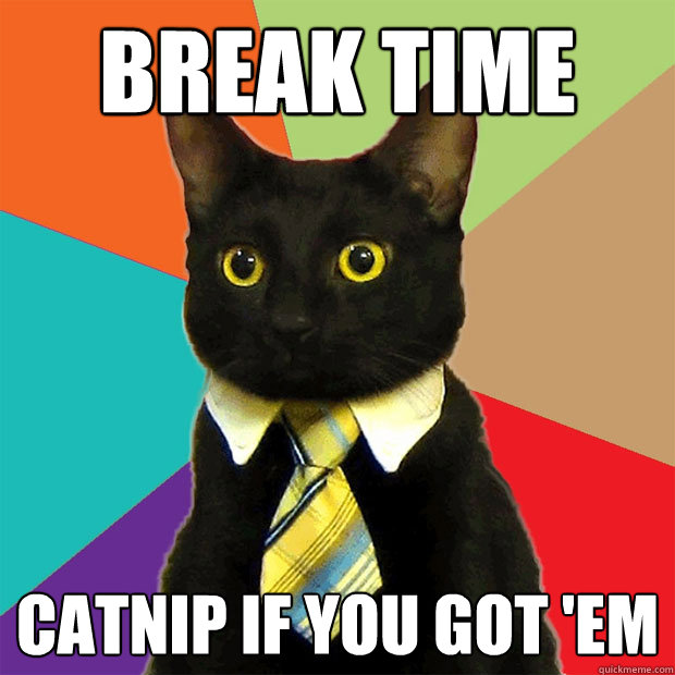 Break time Catnip if you got 'em  Business Cat