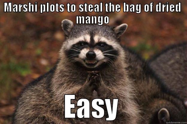 MARSHI PLOTS TO STEAL THE BAG OF DRIED MANGO EASY Evil Plotting Raccoon