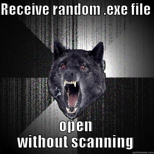 RECEIVE RANDOM .EXE FILE  OPEN WITHOUT SCANNING Insanity Wolf