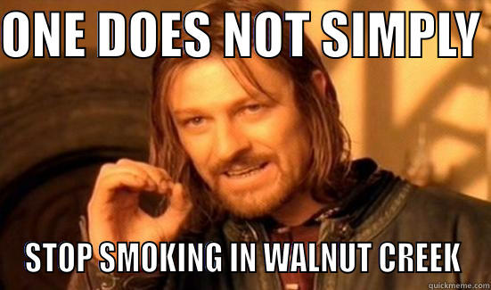 SMOKING IN WALNUT CREEK - ONE DOES NOT SIMPLY  STOP SMOKING IN WALNUT CREEK Boromir