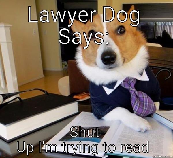 LAWYER DOG SAYS: SHUT UP I'M TRYING TO READ  Lawyer Dog