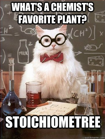 WHAT'S A CHEMIST'S FAVORITE PLANT? STOICHIOMETREE - WHAT'S A CHEMIST'S FAVORITE PLANT? STOICHIOMETREE  Chemistry Cat