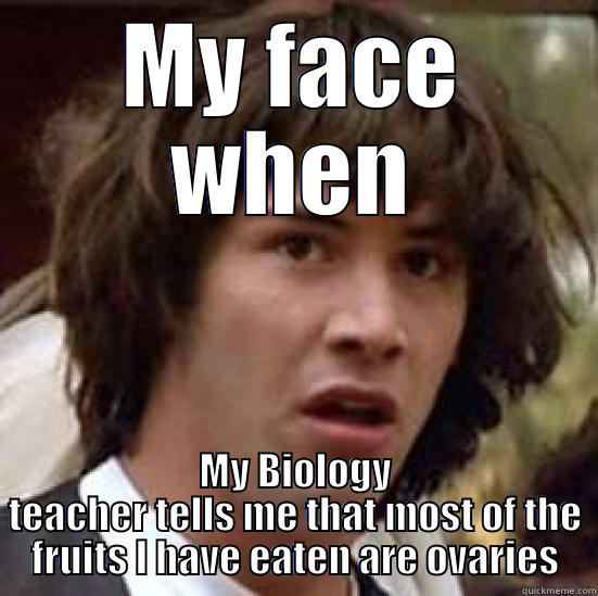 My face - MY FACE WHEN MY BIOLOGY TEACHER TELLS ME THAT MOST OF THE FRUITS I HAVE EATEN ARE OVARIES conspiracy keanu