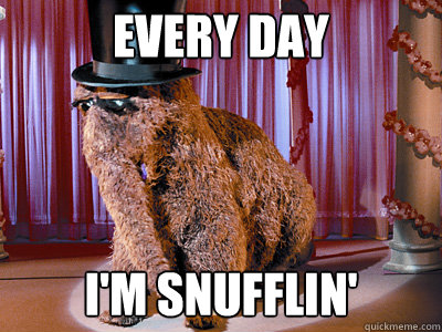 every day i'm snufflin' - every day i'm snufflin'  Every Day Im Snufflin