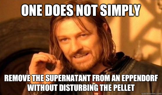 One Does Not Simply REMOVE THE SUPERNATANT FROM AN EPPENDORF WITHOUT DISTURBING THE PELLET  Boromir