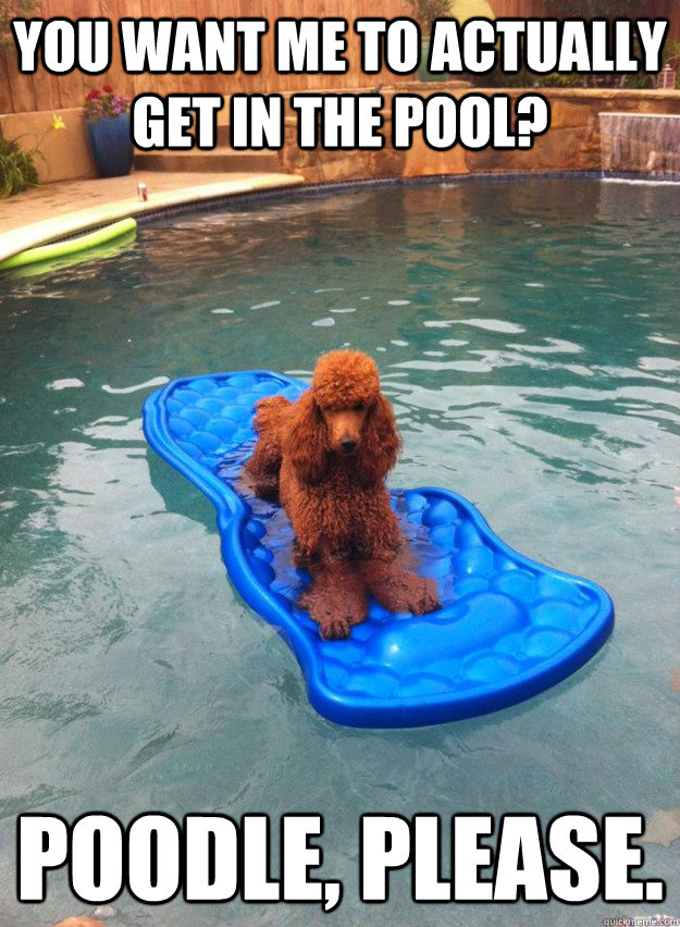 get in the pool