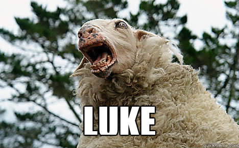  luke  Angry sheep