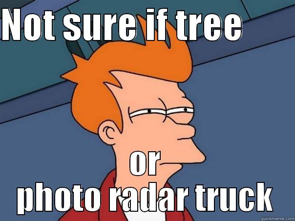 NOT SURE IF TREE        OR PHOTO RADAR TRUCK Futurama Fry