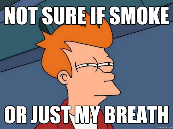 Not sure if smoke or just my breath  Futurama Fry