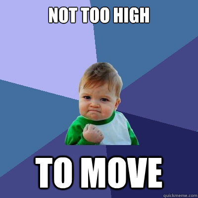 not too high to move  Success Kid