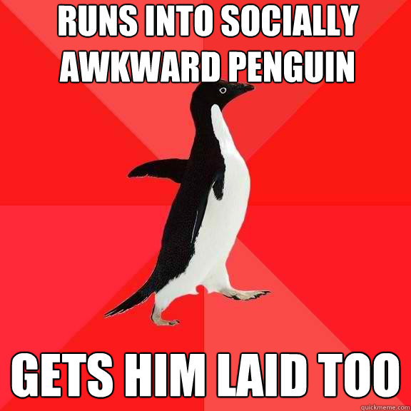 runs into socially awkward penguin gets him laid too  Socially Awesome Penguin