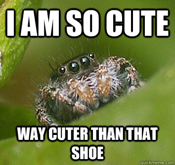 I am so cute Way cuter than that shoe  Misunderstood Spider