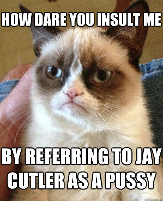 How dare you insult me By referring to Jay Cutler as a Pussy  Grumpy Cat