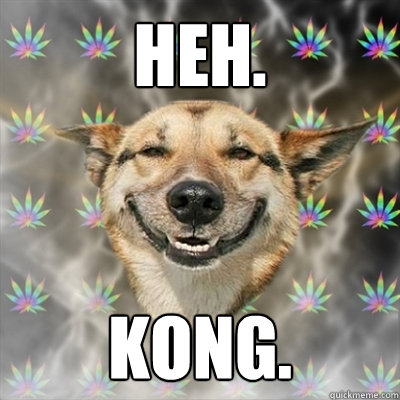 heh. kong.  Stoner Dog