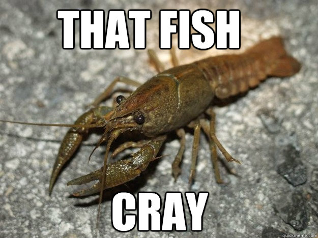 That fish Cray  