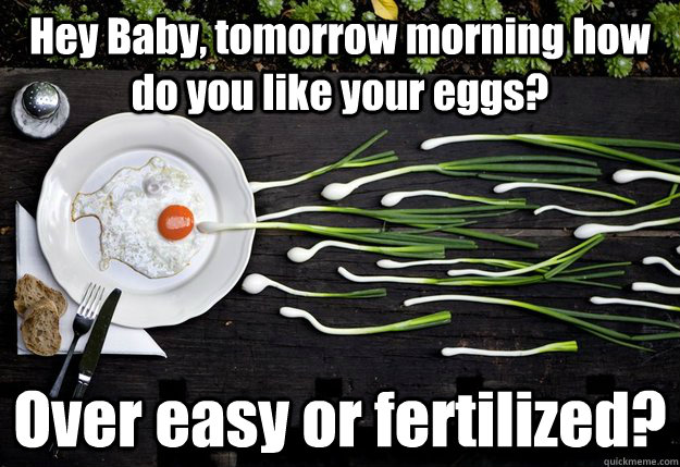 Hey Baby, tomorrow morning how do you like your eggs? Over easy or fertilized? - Hey Baby, tomorrow morning how do you like your eggs? Over easy or fertilized?  Eggs