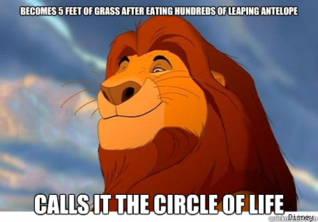 becomes 5 feet of grass after eating hundreds of leaping antelope calls it the circle of life - becomes 5 feet of grass after eating hundreds of leaping antelope calls it the circle of life  Scumbag mufasa