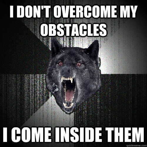 I don't overcome my obstacles I come inside them  Insanity Wolf