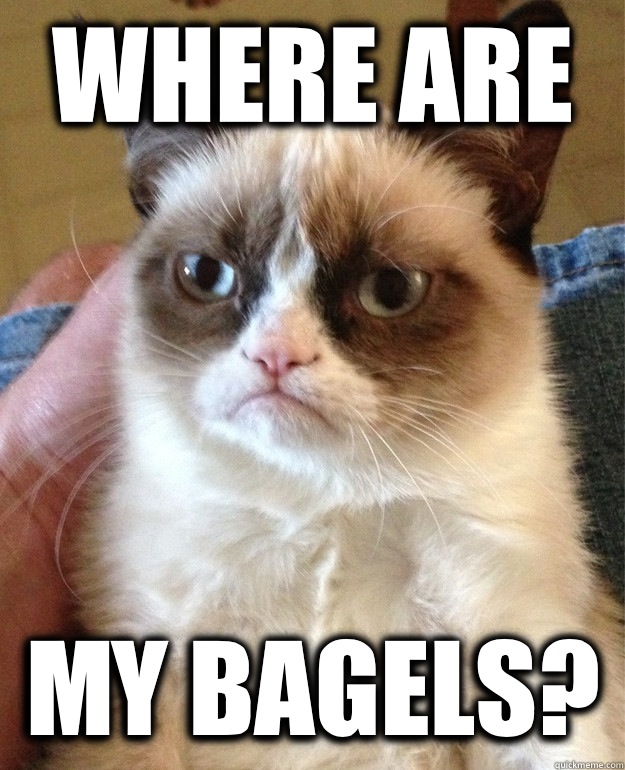 Where are My bagels?  Grumpy Cat