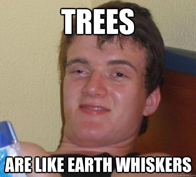 trees are like earth whiskers  10 Guy