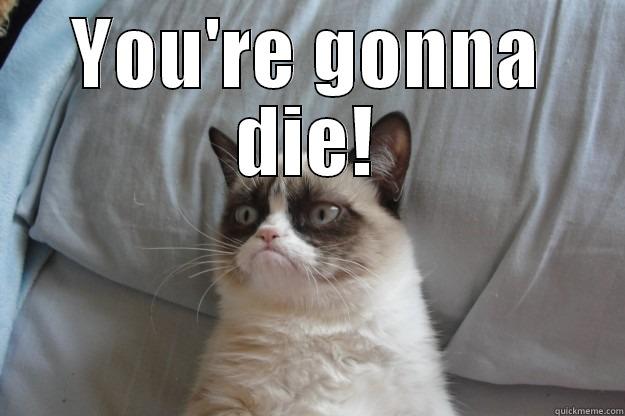 YOU'RE GONNA DIE!  Grumpy Cat