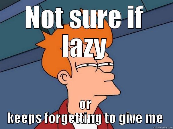 NOT SURE IF LAZY OR KEEPS FORGETTING TO GIVE ME Futurama Fry