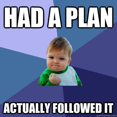 Had a plan  Actually followed it  Success Kid