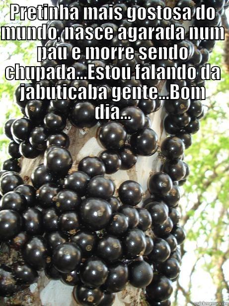 PRETINHA MAIS GOSTOSA DO MUNDO, NASCE AGARADA NUM PAU E MORRE SENDO CHUPADA...ESTOU FALANDO DA JABUTICABA GENTE...BOM DIA...  Misc