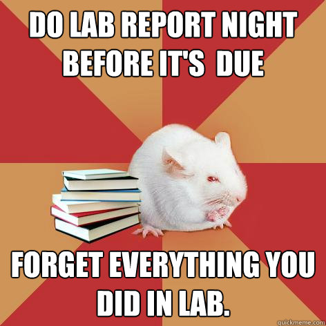 Do lab report night before it's  due  Forget everything you did in lab. - Do lab report night before it's  due  Forget everything you did in lab.  Science Major Mouse