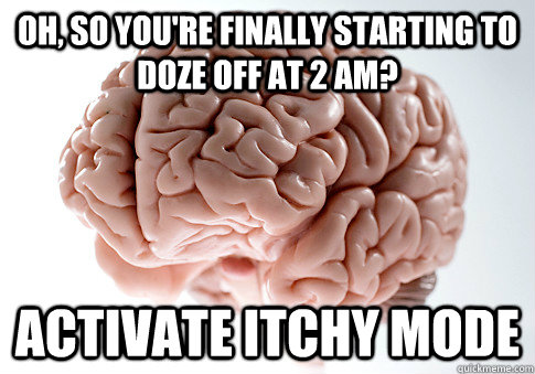 Oh, so you're finally starting to doze off at 2 am? activate itchy mode - Oh, so you're finally starting to doze off at 2 am? activate itchy mode  Scumbag Brain