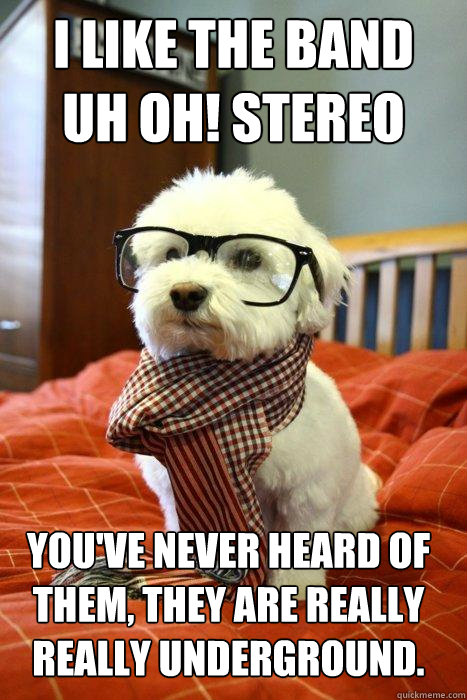 I like the band 
uh oh! stereo  you've never heard of them, they are really really underground.  Hipster Dog