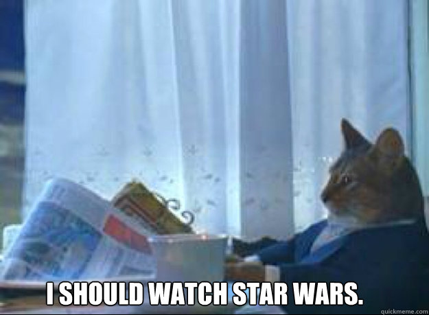 I should watch Star Wars.   I should buy a boat cat