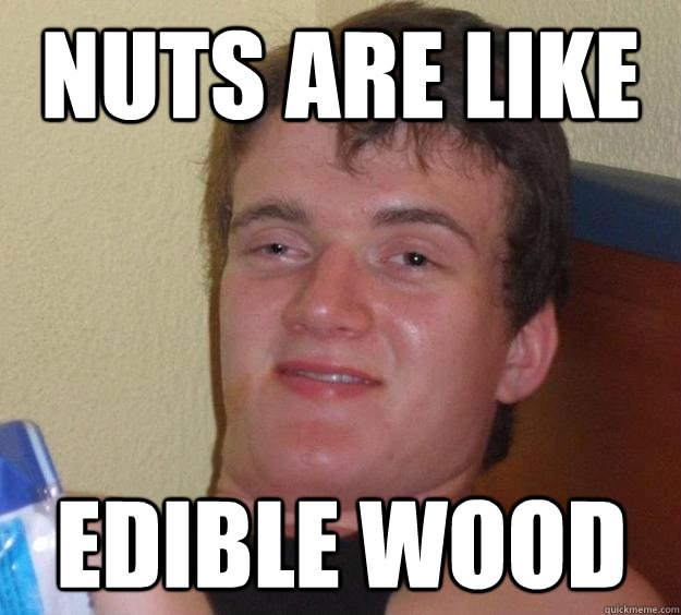 NUTS ARE LIKE EDIBLE WOOD - NUTS ARE LIKE EDIBLE WOOD  10 Guy