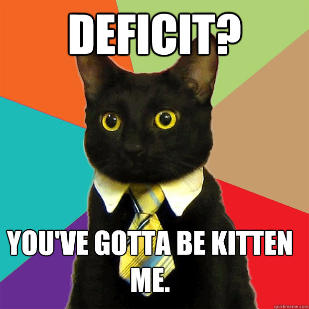 deficit? you've gotta be kitten me.  Business Cat