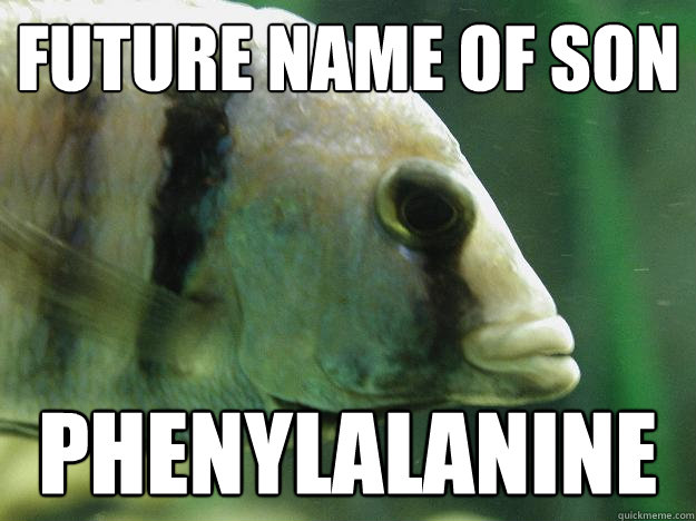 future name of son Phenylalanine  Premed Fish