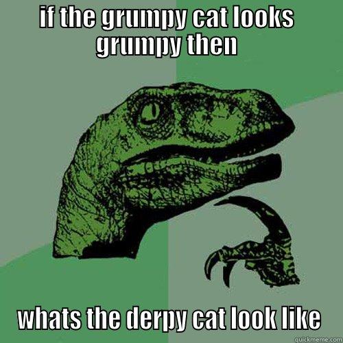 IF THE GRUMPY CAT LOOKS  GRUMPY THEN  WHATS THE DERPY CAT LOOK LIKE Philosoraptor